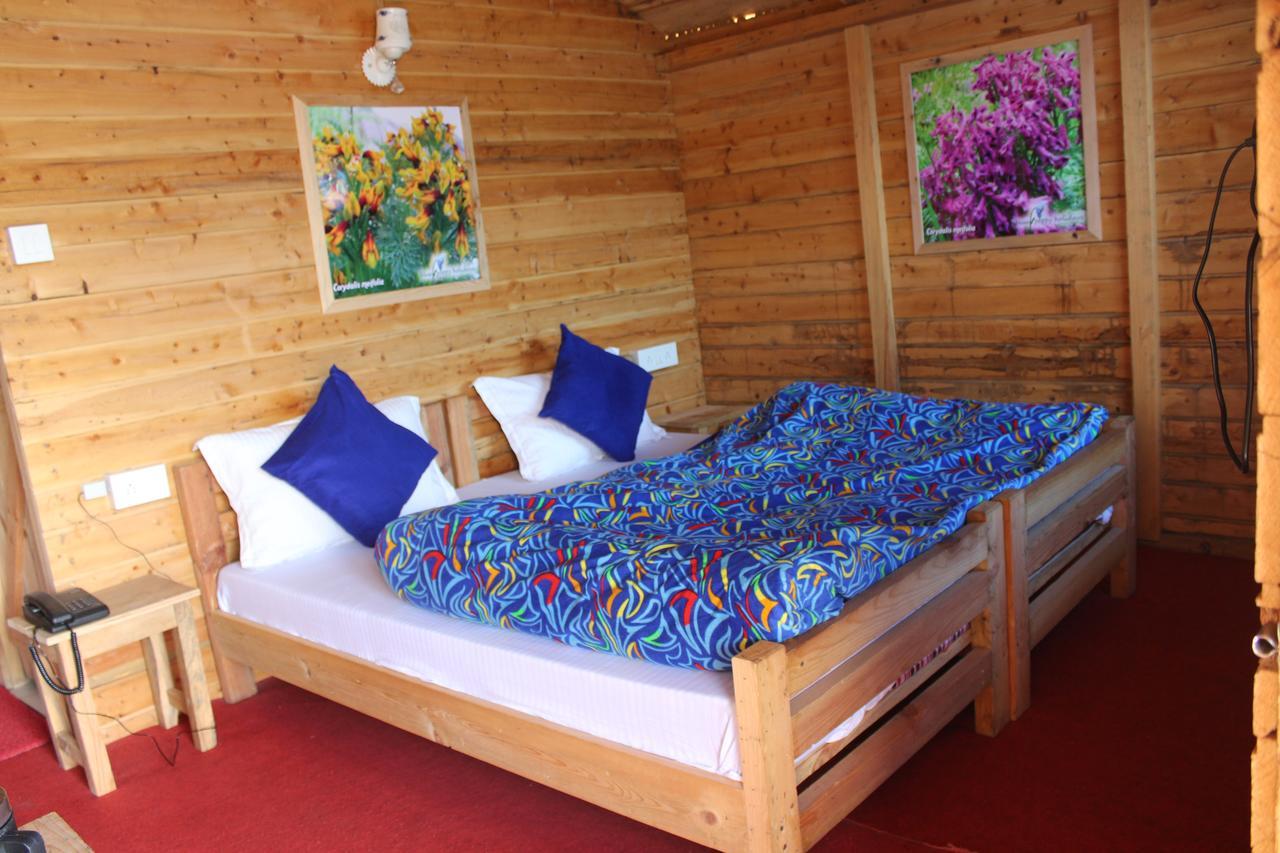 Blue Poppy Resorts Joshīmath Exterior foto